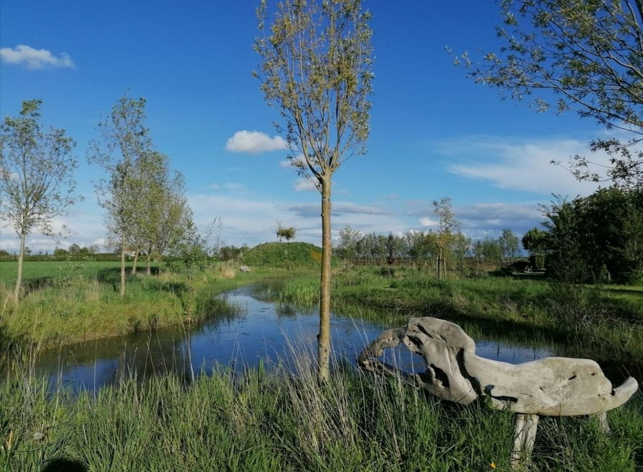 Mindfulness trainingen in Ellewoutsdijk, Zeeland Mindfulness als aandachtstraining bij stress